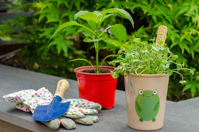 Easy ways to garden with kids by Catherine from Growing Family