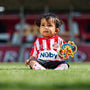 Parents say sports stars top the league as the best role models for children