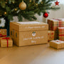 A close up of the Santa Surprise gift box underneath a Christmas tree.