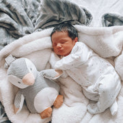 Best Ways to Establish a Sleep Routine for Your Baby