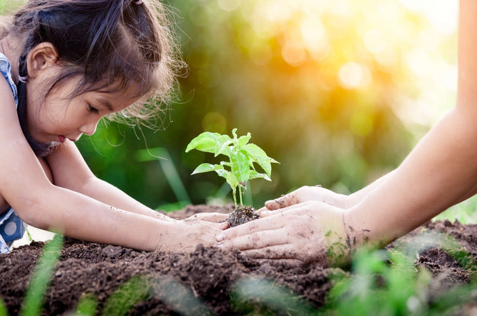A young girl planting something into the ground.