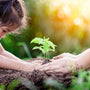 A young girl planting something into the ground.