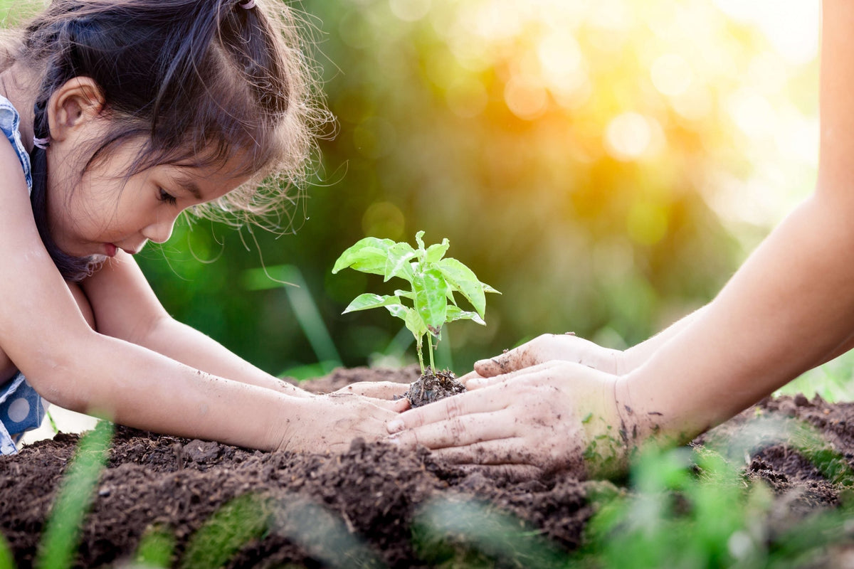 A young girl planting something into the ground.