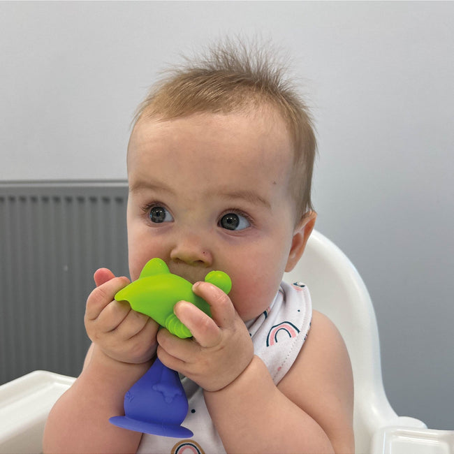 Bobble Teether Toy