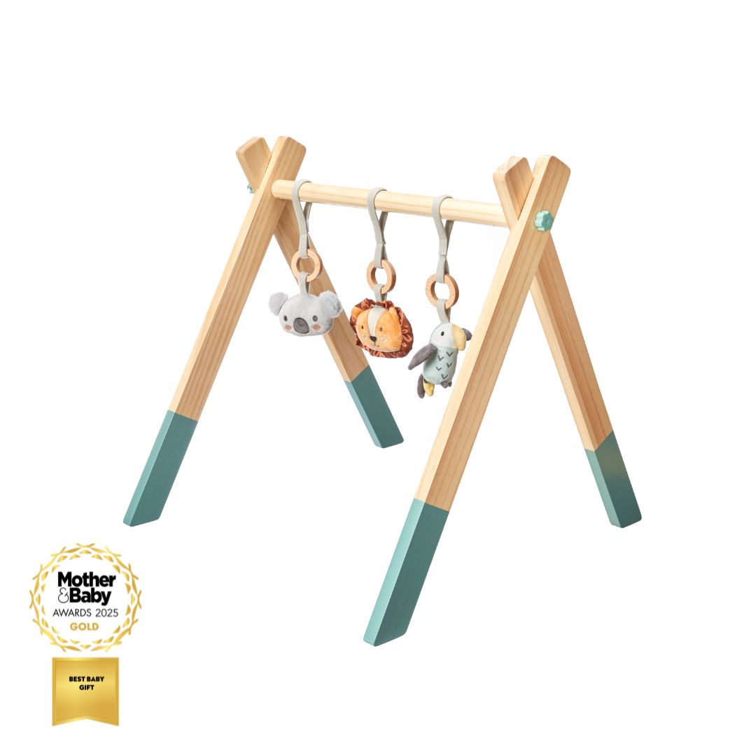 Wooden Play Gym Activity Nuby UK