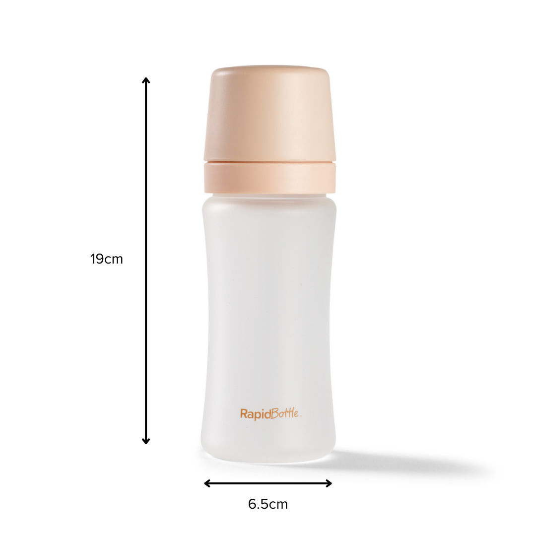A translucent glass RapidBottle Anti-Colic Feeding Bottle with a beige cap is shown, measuring 19 cm tall and 6.5 cm wide at the base, with labeled arrows indicating its dimensions.