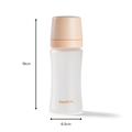 A translucent glass RapidBottle Anti-Colic Feeding Bottle with a beige cap is shown, measuring 19 cm tall and 6.5 cm wide at the base, with labeled arrows indicating its dimensions.