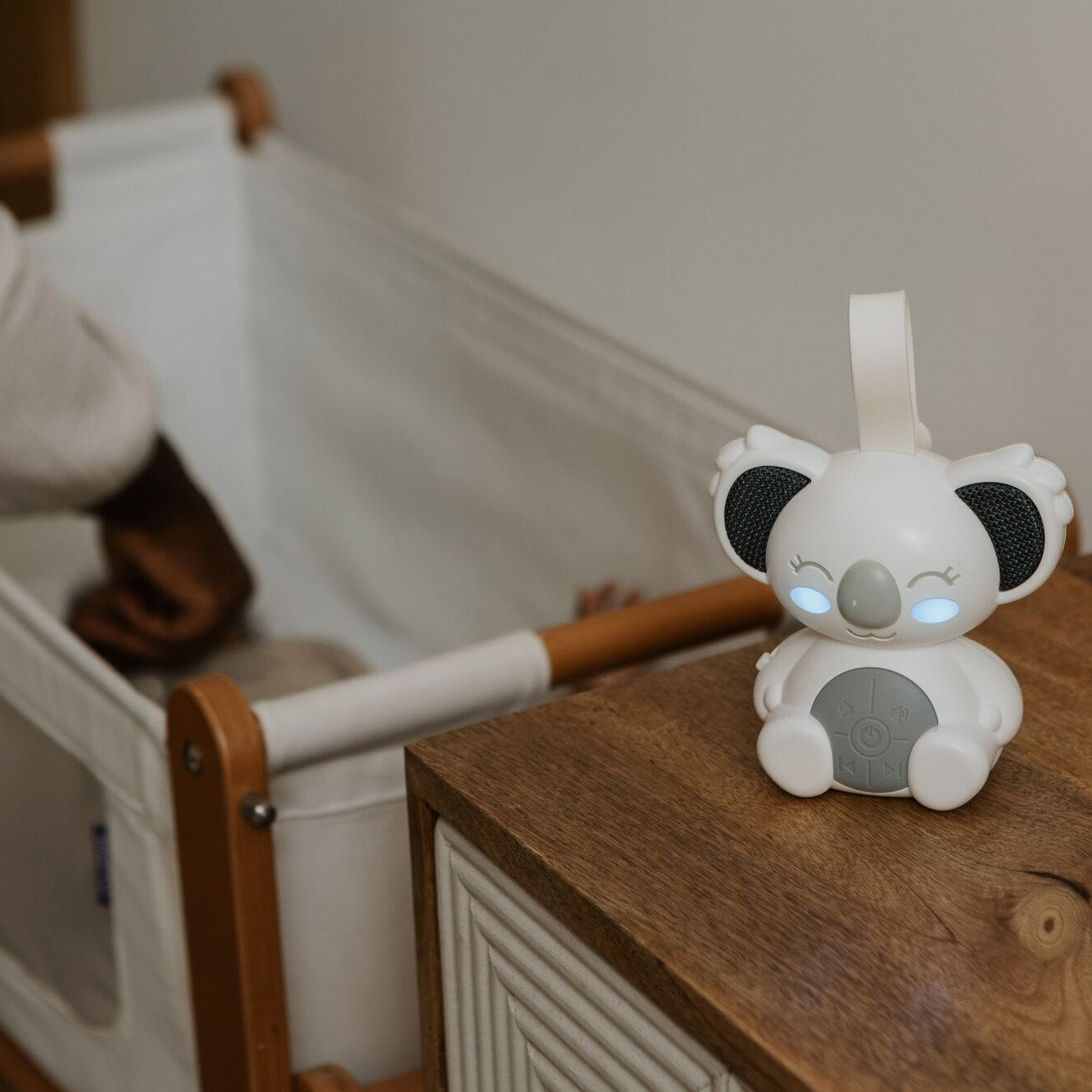 Sydney Sound Bear – Nuby UK