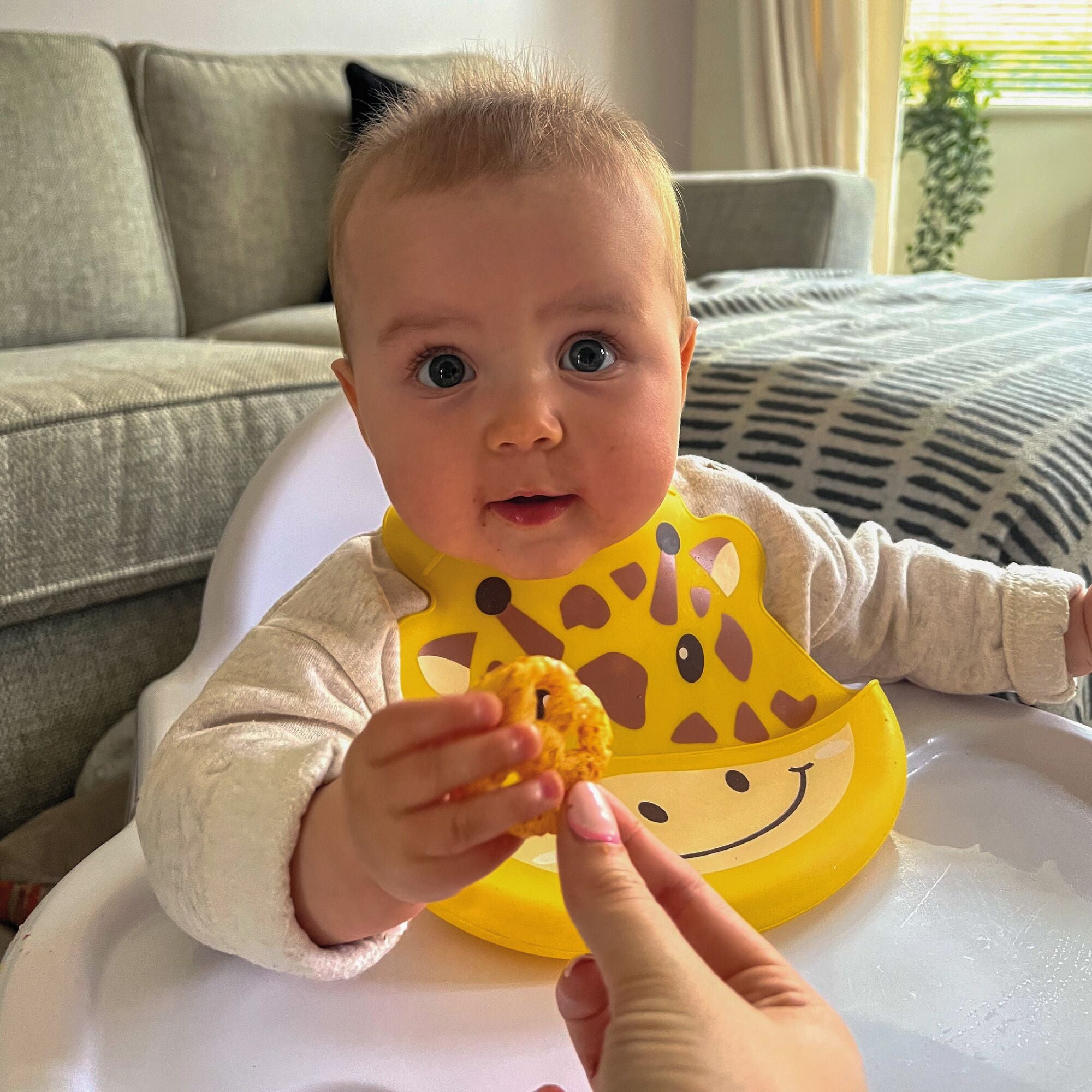 A baby holding food while wearing their Giraffe bib.