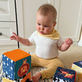 A baby looking at the orange, lion and monkey cubes from Nuby.