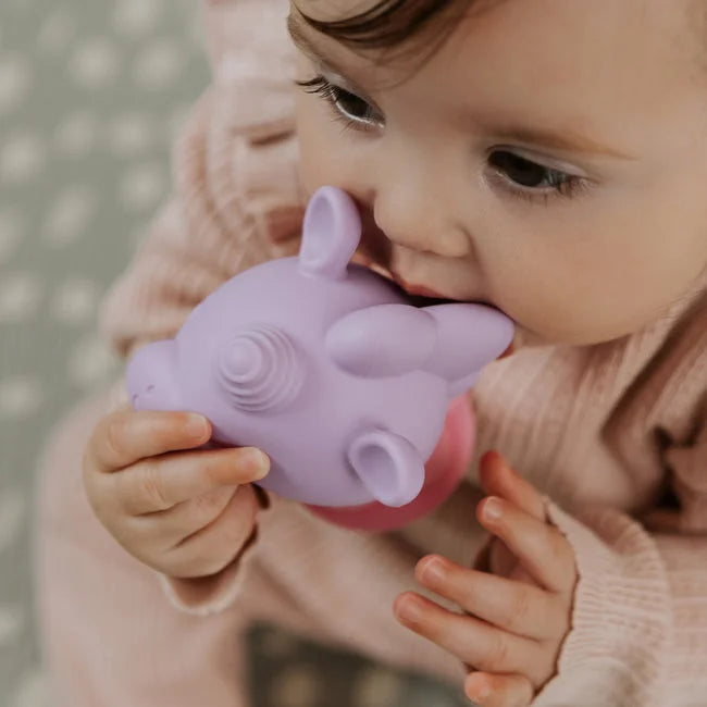 A baby in a light pink outfit sits on a patterned surface, happily chewing on the Nuby Bobble Highchair & Teething Toy—a purple, pig-shaped silicone toy that suctions to highchairs for teething and play.