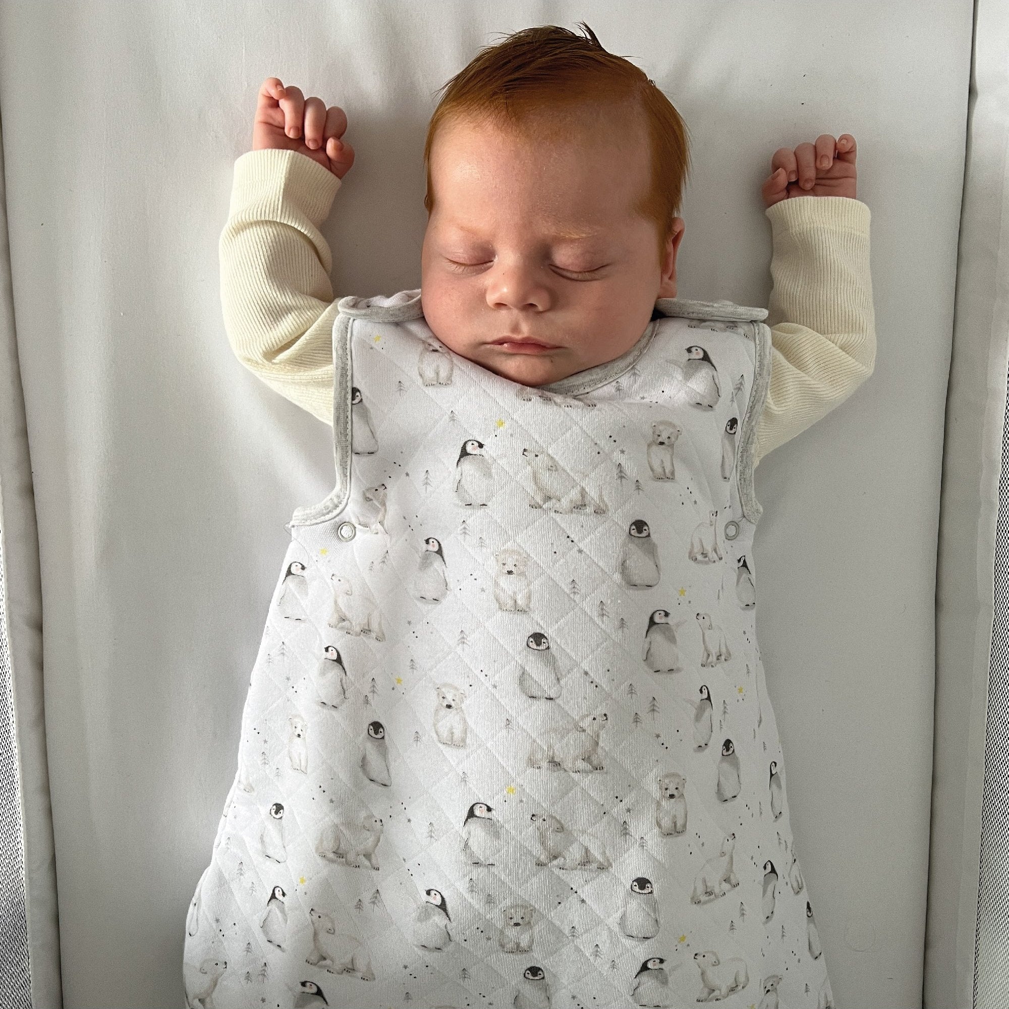 Penguin Sleeping Bag Baby Sleeping Bag Sleep Pod Nuby UK