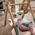 Animal Adventures Wooden Play Gym Play Mats & Gyms Nuby   