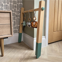 Animal Adventures Wooden Play Gym