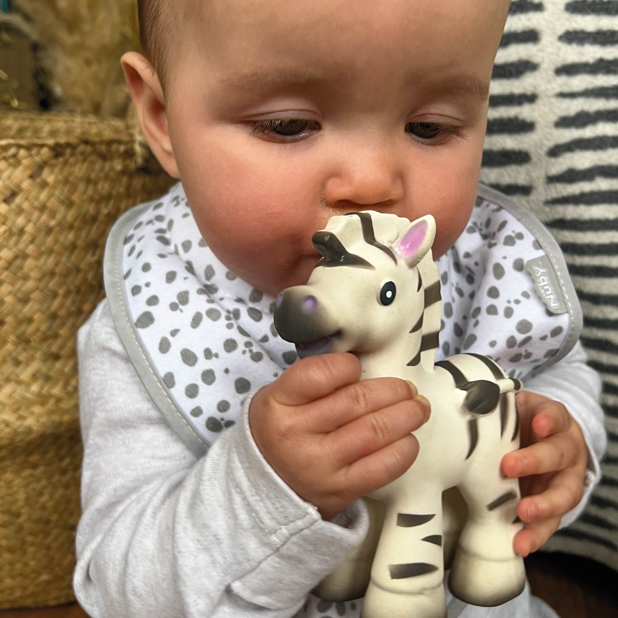 Zebra on sale teething toy