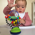 Silly Spinwheel Highchair Toy