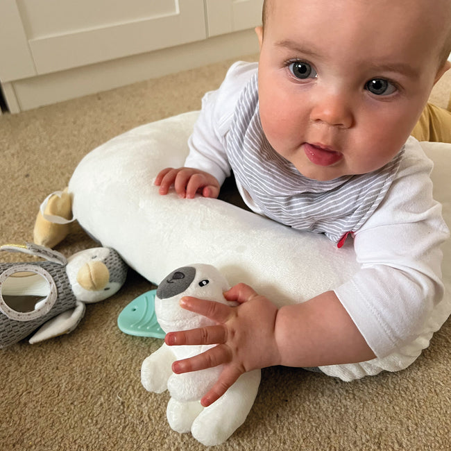 Penguin Tummy Time Activity Pillow, Newborn & Nursery