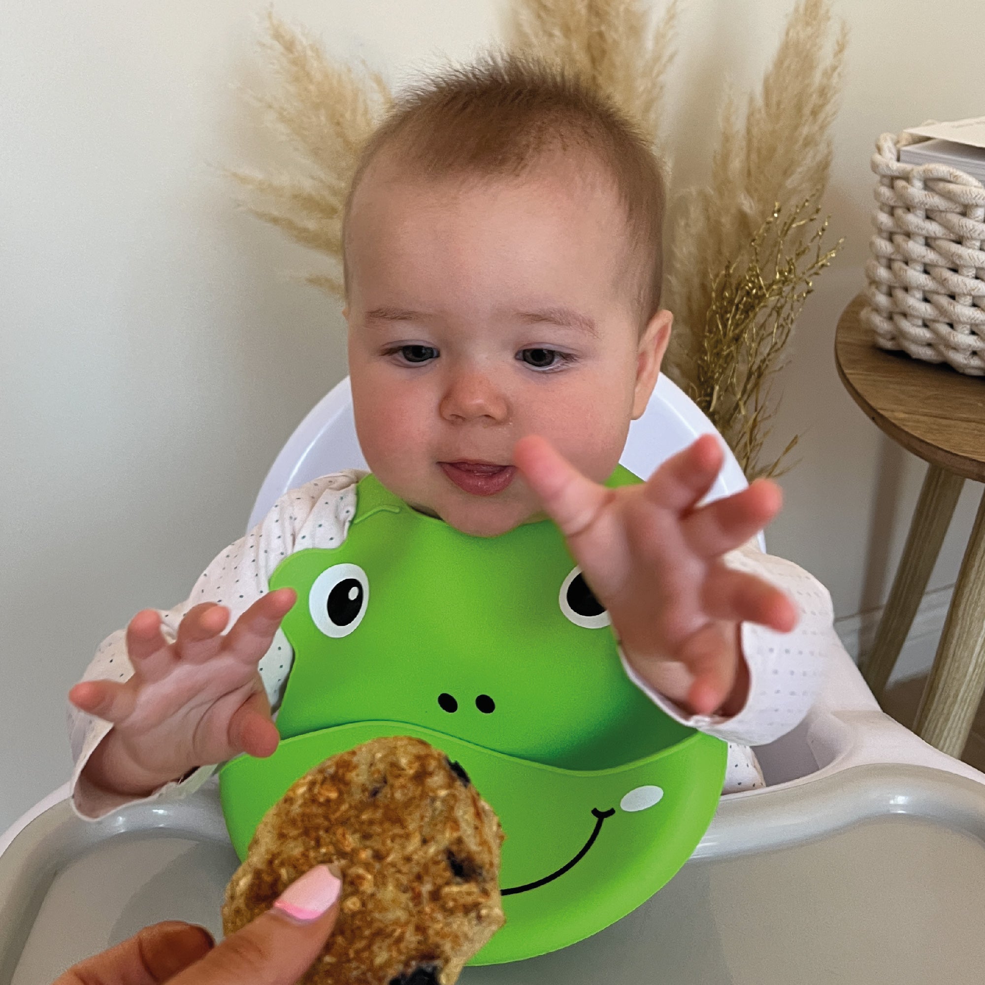 Roly Poly Bib Bibs Nuby   