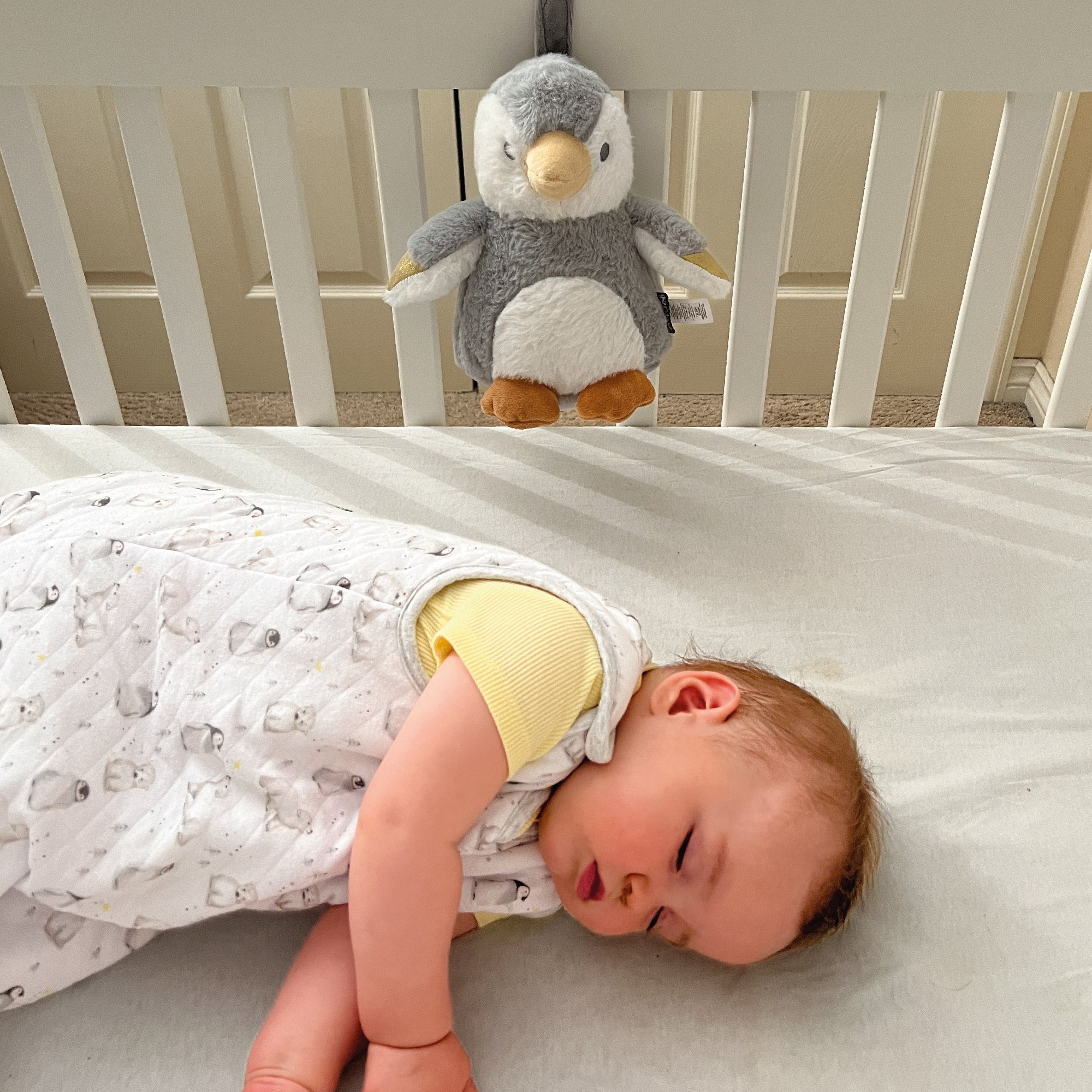 Penguin Sleep Aid with Cry Sensor Sleep Aids Nuby   