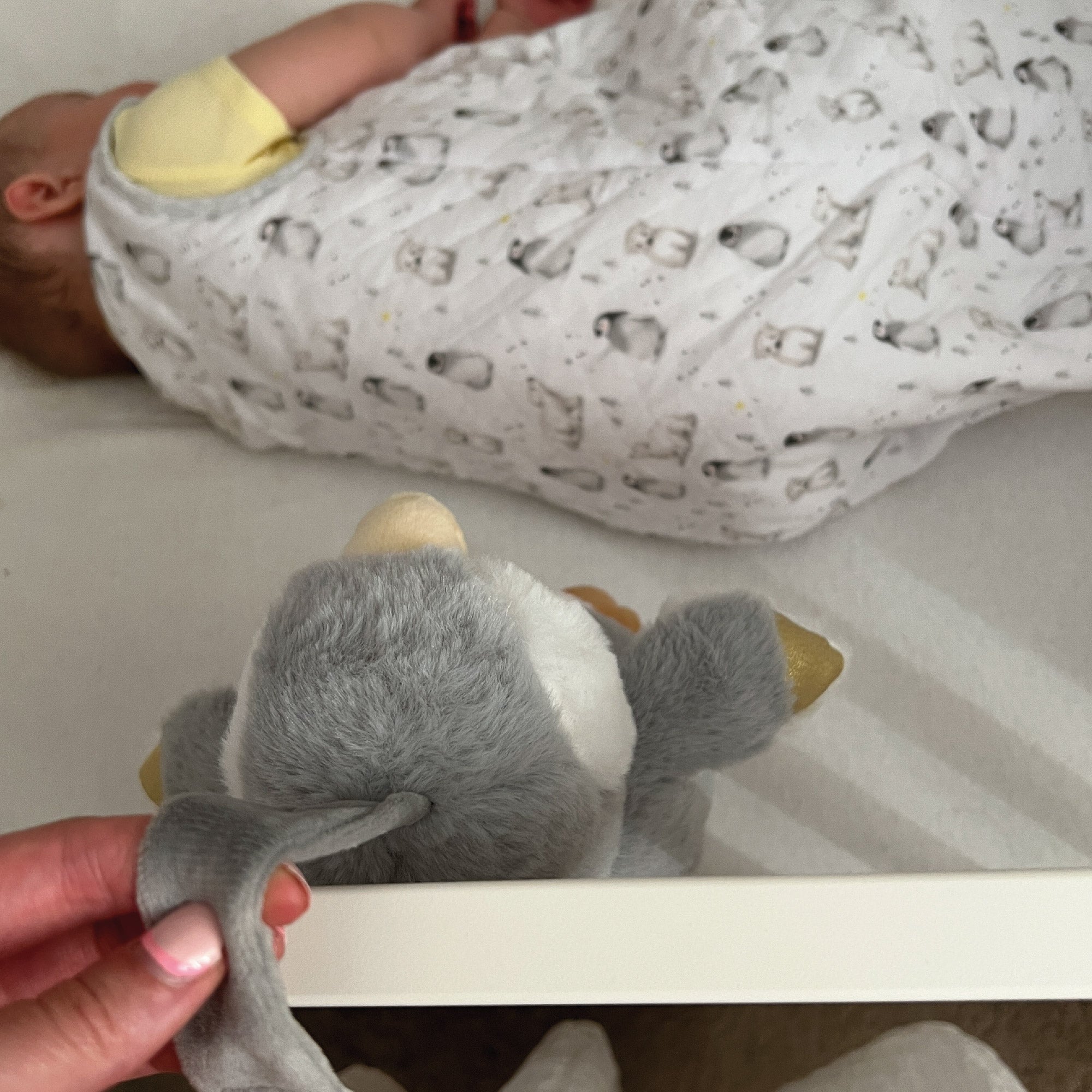 Penguin Sleep Aid with Cry Sensor Sleep Aids Nuby   